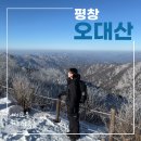 평창 오대산 중대 소종 | 평창 오대산 비로봉 등산코스, 상원사 주차장 최단 소요시간 볼거리