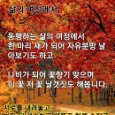 아름다운 동행 이미지