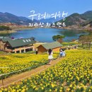 유화목장 | 4월 구례 여행지 추천 지리산 치즈랜드 수선화 절정 시기 체험 정보