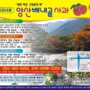양산배내골 사과정보화마을 이미지