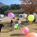 아날로그데이 이미지