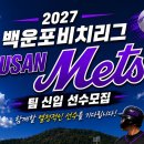 🟥 부산매츠팀 신입선수모집중 이미지