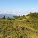 강정동-28 이미지