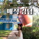 🇺🇸미국 올랜도 매직킹덤, 지니플러스 버츄얼큐 후기 및 어트랙션 종류