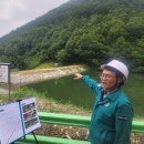 곡성-125 이미지