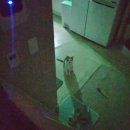 똥꼬발랄 이미지