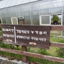 무안황토갯벌랜드 기타 이미지