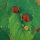 배영유치원 이미지