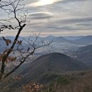 학성도서관 | 학성이씨 무신보