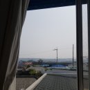 제주조천물고기 이미지