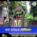 209팜