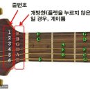 통기타(초급) 이미지