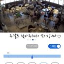 리프패럿 이미지