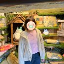 mini(미니)(청-181호) | 후쿠오카 2일차 | 근교 당일 버스투어 - 유후인, 유후다케, 히타, 다자이후