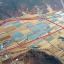 달성농수산물유통센터 이미지