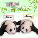 🎉🐼슈바오를 환영하는 판다 달글🐼🎉 이미지