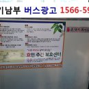 (주)란애드 네이버블로그