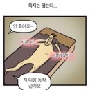 풍무동 | [풍무동 PT 후기] 운동 자극 미쳤다.. 도윤쌤 1:1 피티 리얼후기!