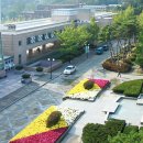 국민대학교 비즈니스IT전문대학원 이미지