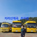 일지매 여행사 이미지