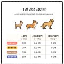 주식회사 코리아펫푸드 | 기호성 높은 강아지수제간식 식스펫 쫄깃 소고기 육포