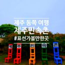 제주민속촌 이미지