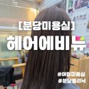 모리스미용실 | [성남 분당미용실] 헤어에비뉴 신데렐라 클리닉 후기 분당미용실·야탑염색 고민 끝!