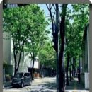 더도움세무회계