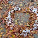 뚝섬한강공원-11 이미지