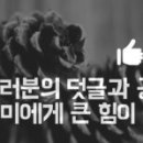 더끌림헤어컴퍼니 이미지