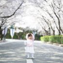 대실역남로4길 | 이월드 벚꽃 아기 야외스냅촬영 스튜디오마레 후기