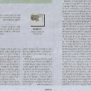 뜨렌비 Daum카페