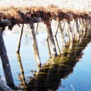 무주읍사무소 이미지