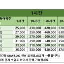 HaiYan 아나운서 온라인 중국어 1대1 과외(언제 어디서나 배울 수 있는 아나운서 중국어! [글로벌]（중국어 과외) 이미지