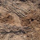 가중농장 이미지