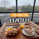 제주 애월 카페 고양이 귤나무 동백꽃이 있는 다과상점