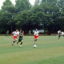 탄천변축구장 이미지