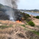 갈대2축구장 이미지