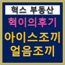 [혁스후기] 얼음 아이스 조끼 추천 쿨 냉 냉동
