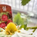 마이유기질비료 이미지