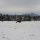 성업목장 이미지