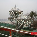 바다향기수목원(바다너울원) 이미지