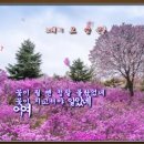 꽃 노래방 이미지