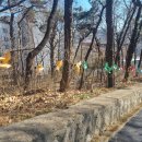 궁산 소악루화장실 | 강서구 궁산