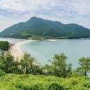 라본비 이미지