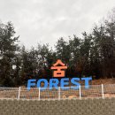 창원/마산 카라반 캠핑장 더숨포레스트 내돈내산 후기