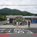 라벤더 | 거제 수국 라벤더 지세포성 여행후기