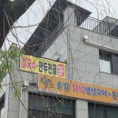 GS25청송점 | 소나무 가득한 청송 손칼국수 진한 국물 칼국수 쫄깃한 면발 칼국수9
