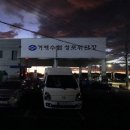 막썰어회센터 이미지