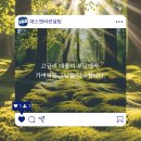 에스앤비컨설팅 이미지